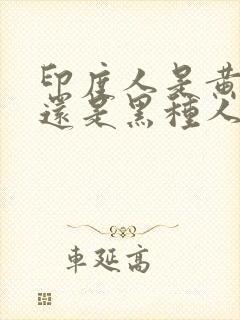 印度人是黄种人还是黑种人