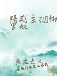 阳刚主捆绑肌肉男奴