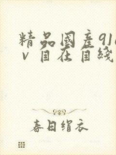 精品国产91a v 自在自线