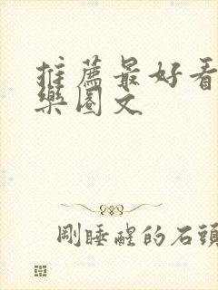 推荐最好看的娱乐圈文