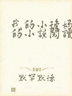 我的小后妈免费的小说阅读