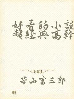 好看的小说推荐超经典高干文