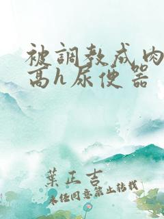 被调教成肉便池高h尿便器