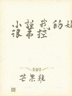 小说 我的姐姐很弟控