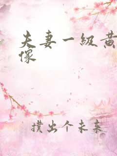 夫妻一级黄色录像