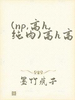 (np,高h,纯肉)高h高辣小说