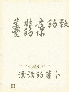 叶非夜的致我最爱的你