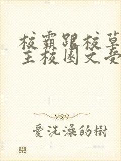 校霸跟校草双男主校园文受是双儿的