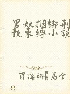 男奴捆绑刑具调教束缚小说