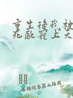 重生后我被渣男死敌宠上天