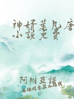 神婿叶凡唐若雪小说免费