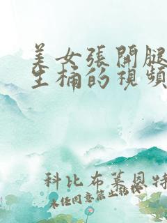 美女张开腿让男生桶的视频