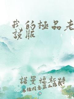 我的极品老婆小说版