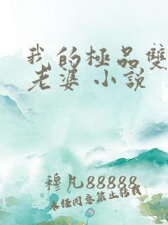 我的极品双胞胎老婆 小说