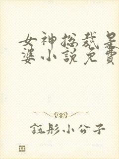 女神总裁是我老婆小说免费阅读