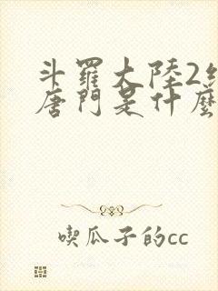 斗罗大陆2绝世唐门是什么
