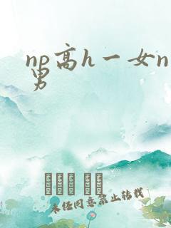 np高h一女n男