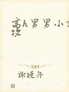 高h男男小说总攻