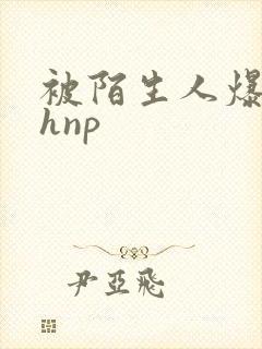 被陌生人爆c高hnp