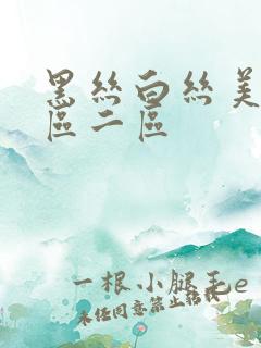 黑丝白丝美女一区二区