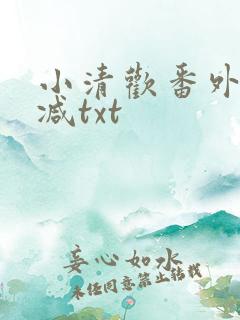 小清欢番外未删减txt