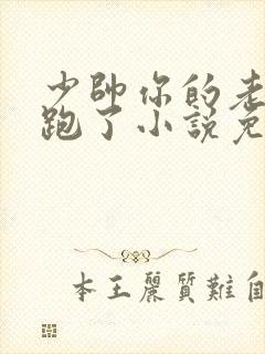 少帅你的老婆又跑了小说免费阅读