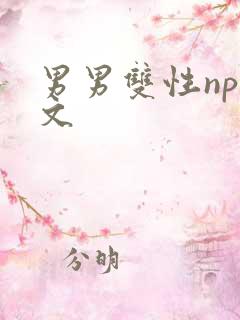 男男双性np黄文