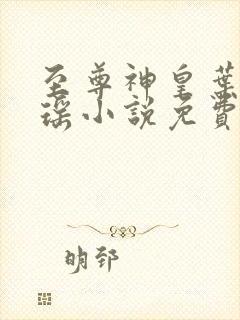 至尊神皇叶尘池瑶小说免费