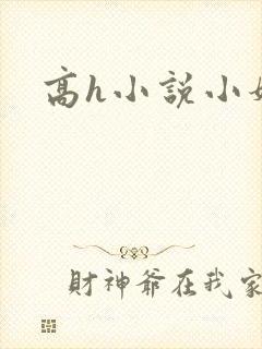 高h小说小妈