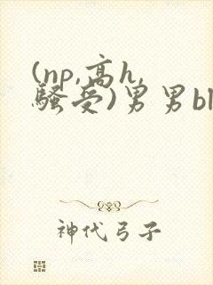 (np,高h,骚受)男男bl
