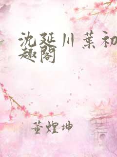 沈延川叶初棠笔趣阁