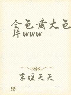 全色黄大色黄大片www