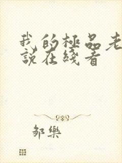 我的极品老婆小说在线看