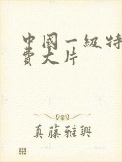 中国一级特黄免费大片