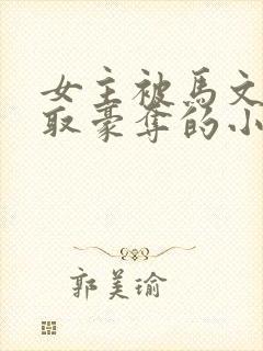 女主被马文才强取豪夺的小说