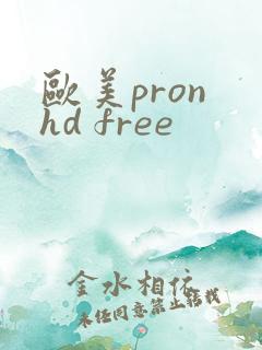 欧美pron hd free