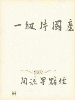 一级片国产精品