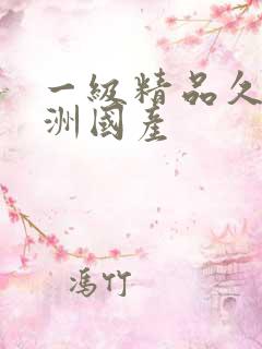 一级精品久久亚洲国产