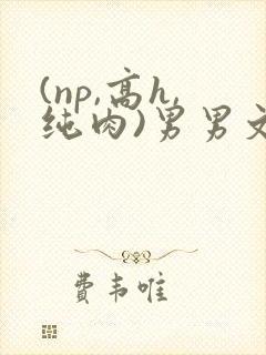 (np,高h,纯肉)男男文
