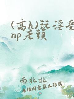 (高h)玩淫受np老头
