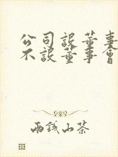 公司设董事会和不设董事会的区别