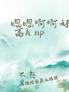 嗯嗯啊啊好爽啊 高h np