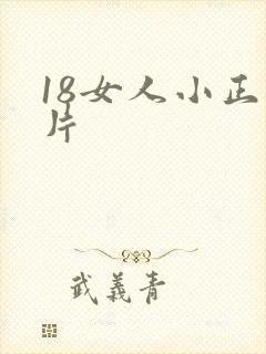 18女人小正毛片