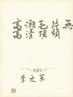 高潮毛片无遮挡高清视频