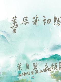 叶辰萧初然无弹窗