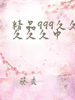 精品999久久久久久中