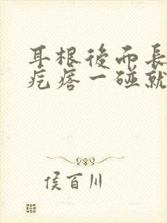 耳根后面长一个疙瘩一碰就疼