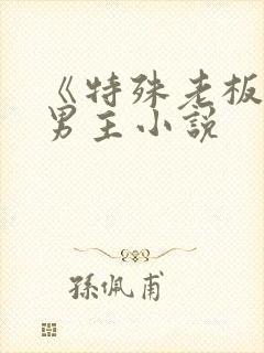 《特殊老板》双男主小说