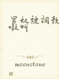 男奴被调教的嗷嗷叫