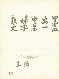 熟妇中出黑人中文字幕一区二区